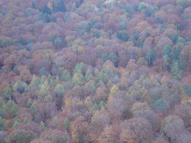 Herbst